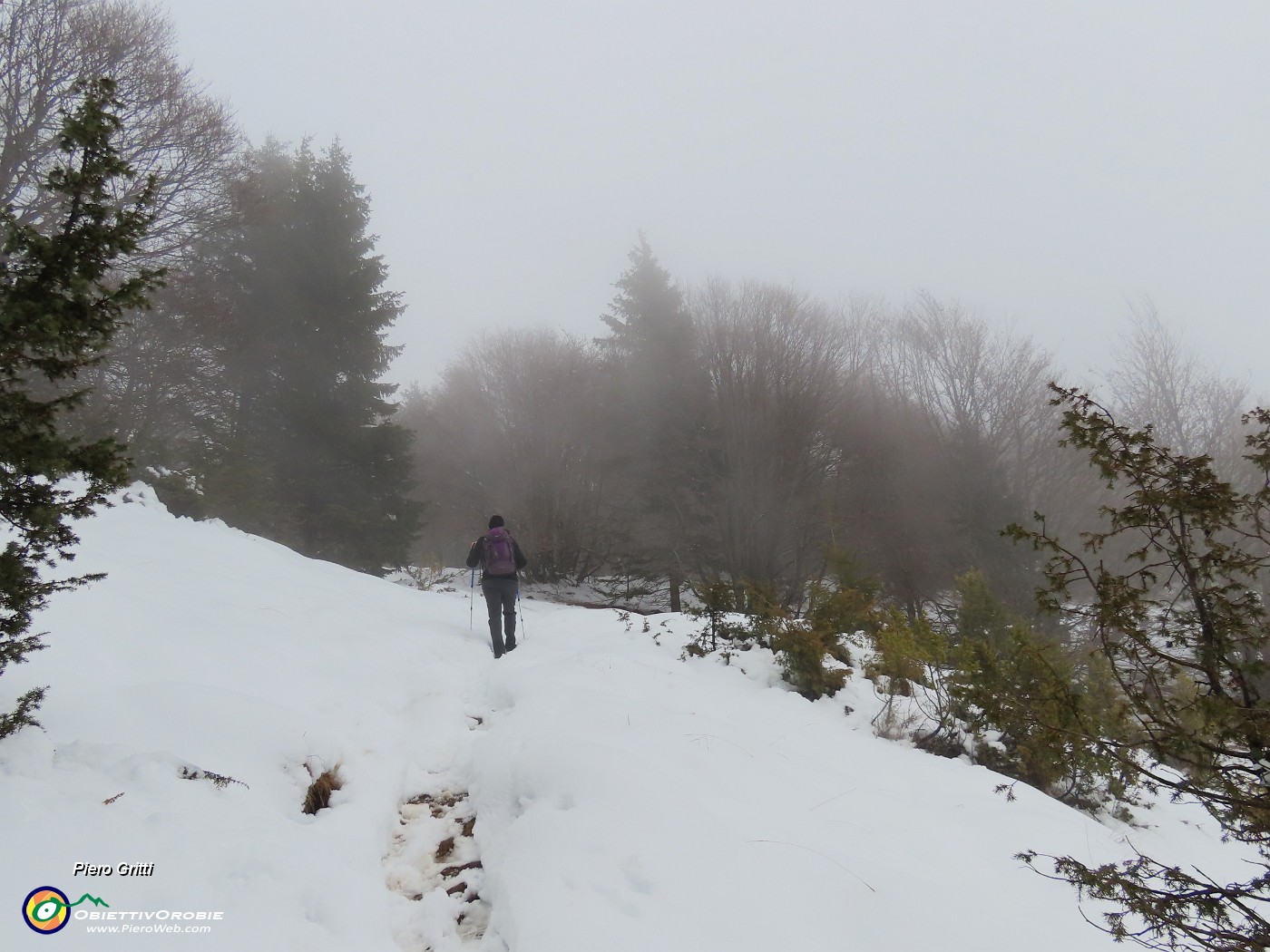 46 La nebbia fredda dilaga!.JPG